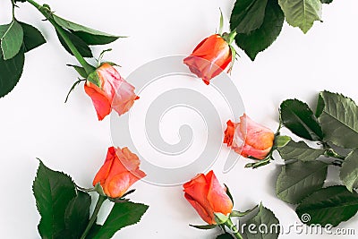 orange small roses, place for text Stock Photo