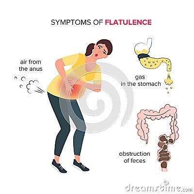 Gas in the stomach and fecal obstruction in the intestines Vector Illustration