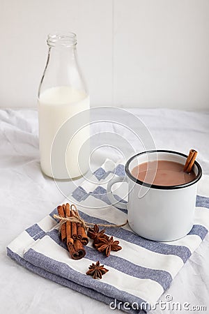 Flavored cocoa with spices. White background. Stock Photo