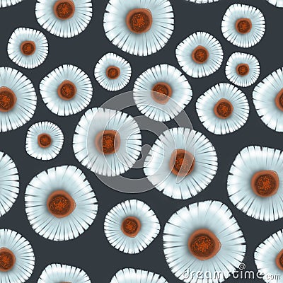 Flawless Flower Stock Illustration Stock Photo