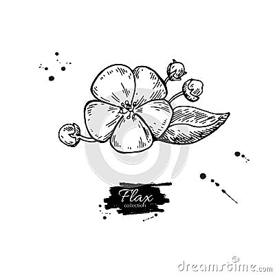 Flax flower vector superfood drawing. Isolated hand drawn illus Vector Illustration