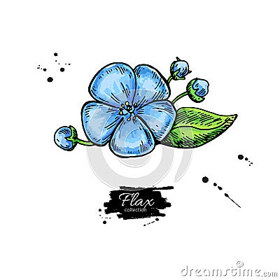 Flax flower vector superfood drawing. Isolated hand drawn illustration Vector Illustration