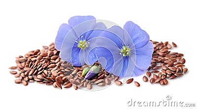 Flax seed and flax flowers . Stock Photo