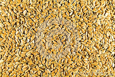 Flax seed, a lot on the whole background. Linen Stock Photo