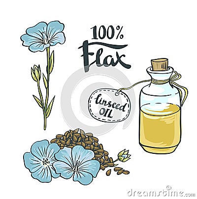 Flax Seeds Oil in a Glass Bottle with flowers. Vector Illustration