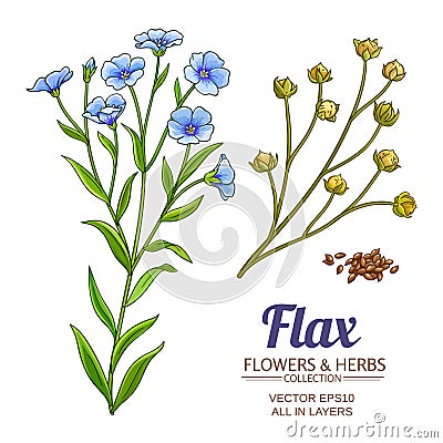Flax vector set Vector Illustration