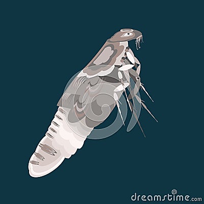 Flea is bloodsucking insect of a dangerous parasite. Vector Illustration