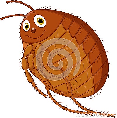 Flea cartoon Vector Illustration