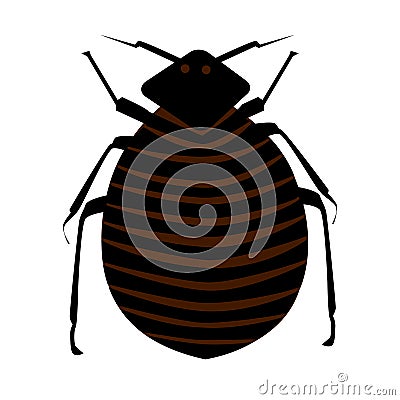 Flea isolated on white background. Cartoon insect pest. Vector Illustration