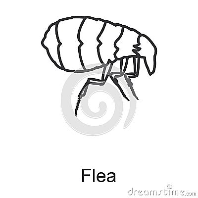 Flea vector icon.Line vector icon isolated on white background flea. Vector Illustration