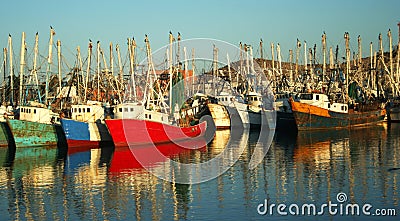 A Fleet of Docked Shrimp Boats Stock Photo