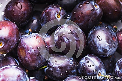 Fleshy plums Stock Photo