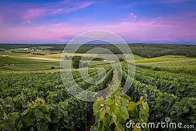 Fleury-la-Rivier, France - Sunset View of the Hillsides of Champagne Stock Photo