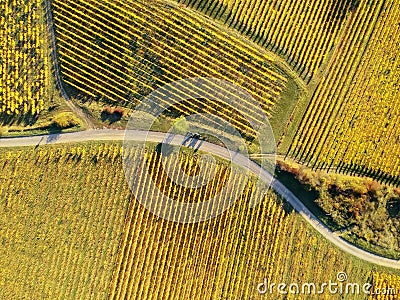 flight over vineyard Alsace France Stock Photo