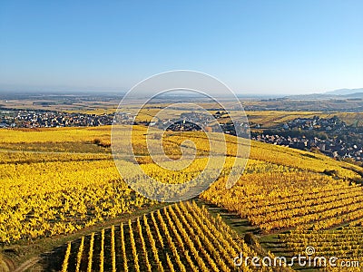 flight over vineyard Alsace France Stock Photo