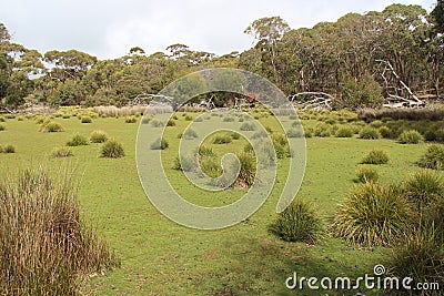 flinders chase natinal park in kangaroo island (australia) Stock Photo