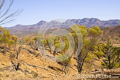 Flinders Ranges Stock Photo