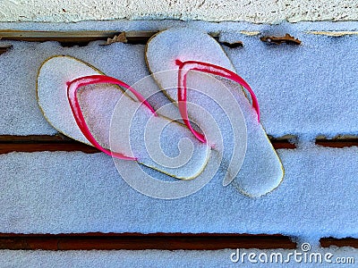 composition of Flip flops covered with snow. Ideal image for tourism. Stock Photo