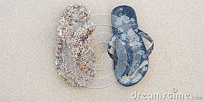Flip-flops back from the sea: one is fully covered with acorn barnacles and another one is just slightly touched by the sea Stock Photo