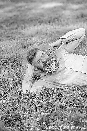 Flirt concept. Guy with bouquet of daisies in beard twists mustache. Man with beard on happy face enjoy nature. Bearded Stock Photo