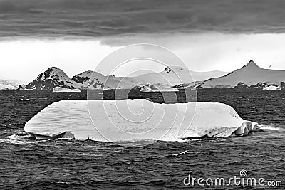 Floating Black White Iceberg Water Antarctica Stock Photo