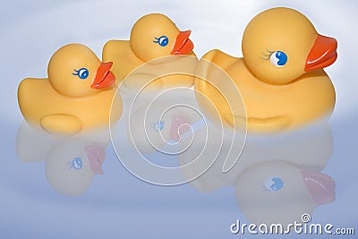 Floating duckies Stock Photo
