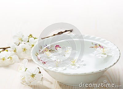 Floating flowers of Cherry blossom. Stock Photo