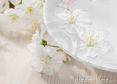 Floating flowers ( Cherry blossom) in white bowl. Stock Photo