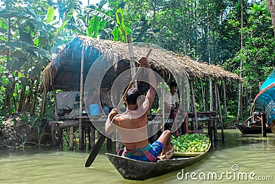 Floating Guava Market In Barishal Bangladesh Editorial Stock Photo