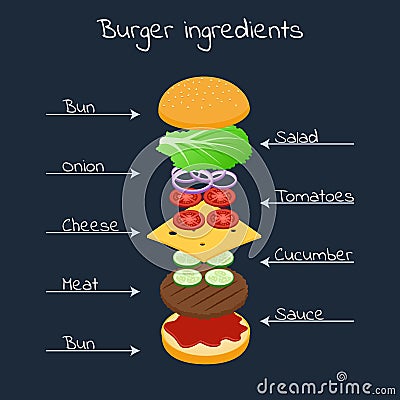 Floating ingredients for a burger Vector Illustration