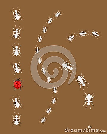 Flock of Ants with Ladybug Stock Photo