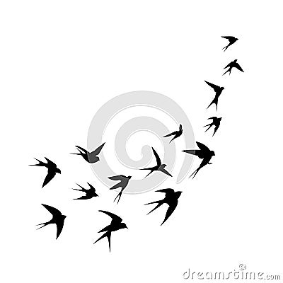 A flock of birds (swallows) go up. Black silhouette on a white background. Vector Illustration