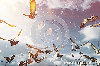 Flock Of Doves Flying In Blue Sunny Sky. Freedom Peace Concept Stock Photo