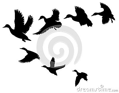 Flock of ducks. A cartoon flock of birds. Vector illustration of flying birds. Drawing for children. Vector Illustration