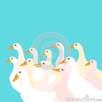 A flock of ducks vector illustration Vector Illustration