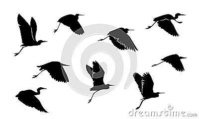 Flock of egrets flying silhouette, vector Vector Illustration