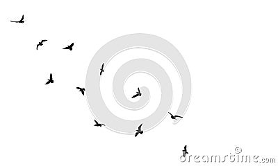 Flock of flying birds in sky, isolated black silhouettes. Beautiful birds. Vector illustration Vector Illustration