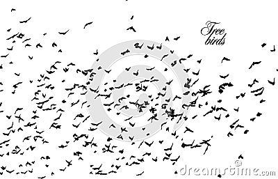 A flock of flying birds. A large flock of flying crows. Vector illustration Stock Photo