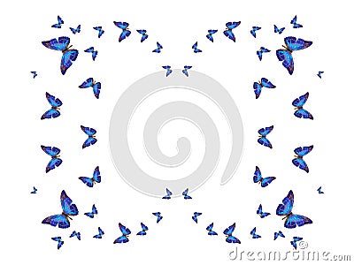 flock of flying butterflies isolated on white background. silhouette of a butterfly. tropical moths. tropical insects Stock Photo