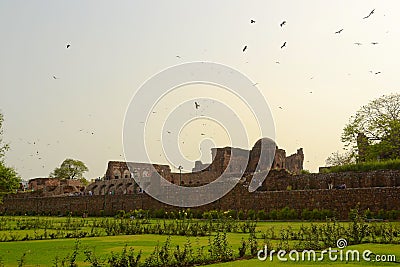 A flock of flyinh birds above the Pillars of Ashoka Stock Photo