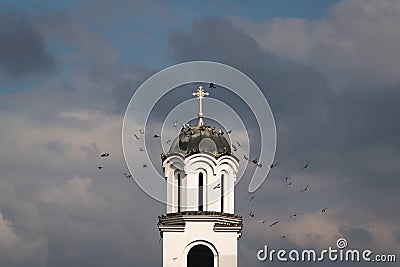 Flock of pigeons fly around church bell tower Stock Photo