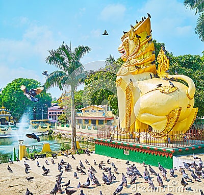 Pigeons at chinthe lion`s statue, Maha Wizaya Mahavijaya Pagoda, Yangon, Myanmar Stock Photo