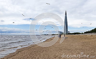 Flock of seagulls over the beach on the Gulf of Finland, St. Pet Editorial Stock Photo