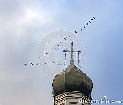 Flock of swans over the dome and the cross of an Orthodox church in the autumn sky Stock Photo