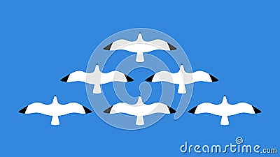 Flying seagulls. Close up of a gull in the sky. Flock of birds. Abstract birds. Vector illustration Vector Illustration