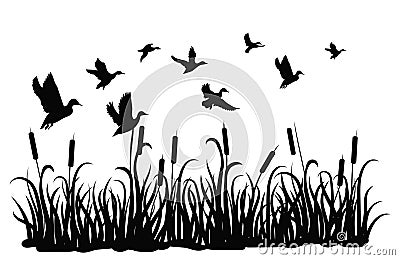 A flock of wild ducks flying over a pond with reeds. Black and white illustration of ducks flying over the river. Vector Vector Illustration