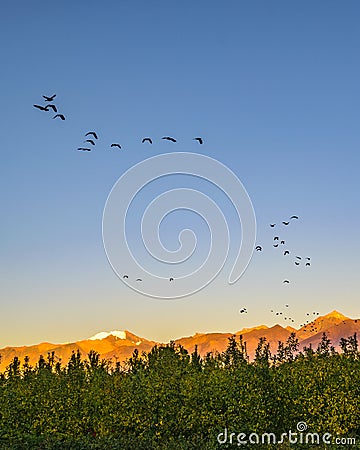 Mountains Landscape, San Juan Province, Argentina Stock Photo