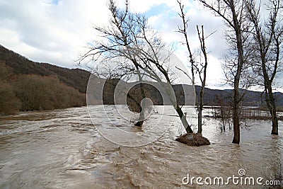 Flood Stock Photo