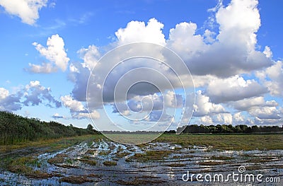 Flood Stock Photo