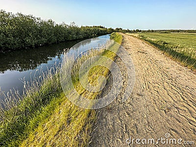 Flood barrier or dike, and a sandy hiking path. Stock Photo